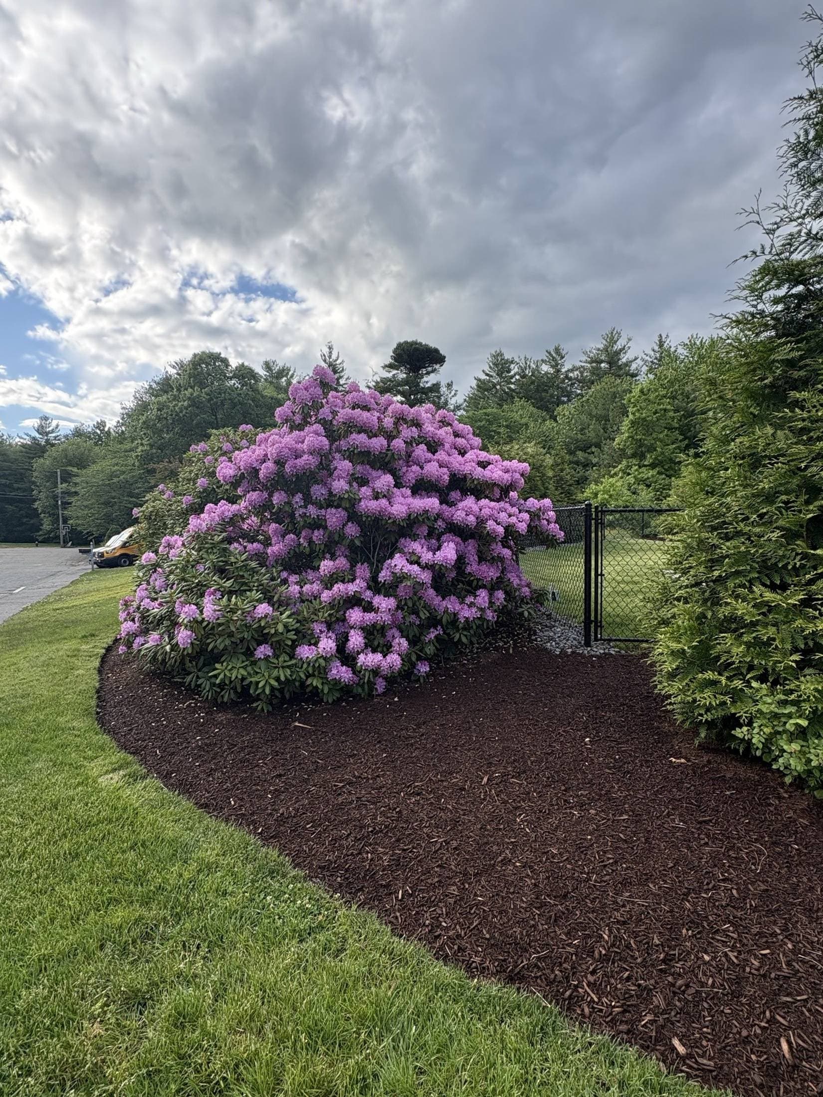 Read Residence — view 6