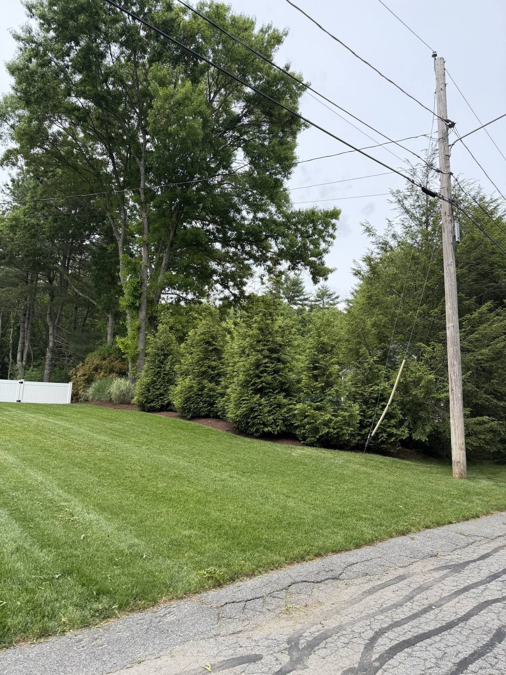 Read Residence — view 10