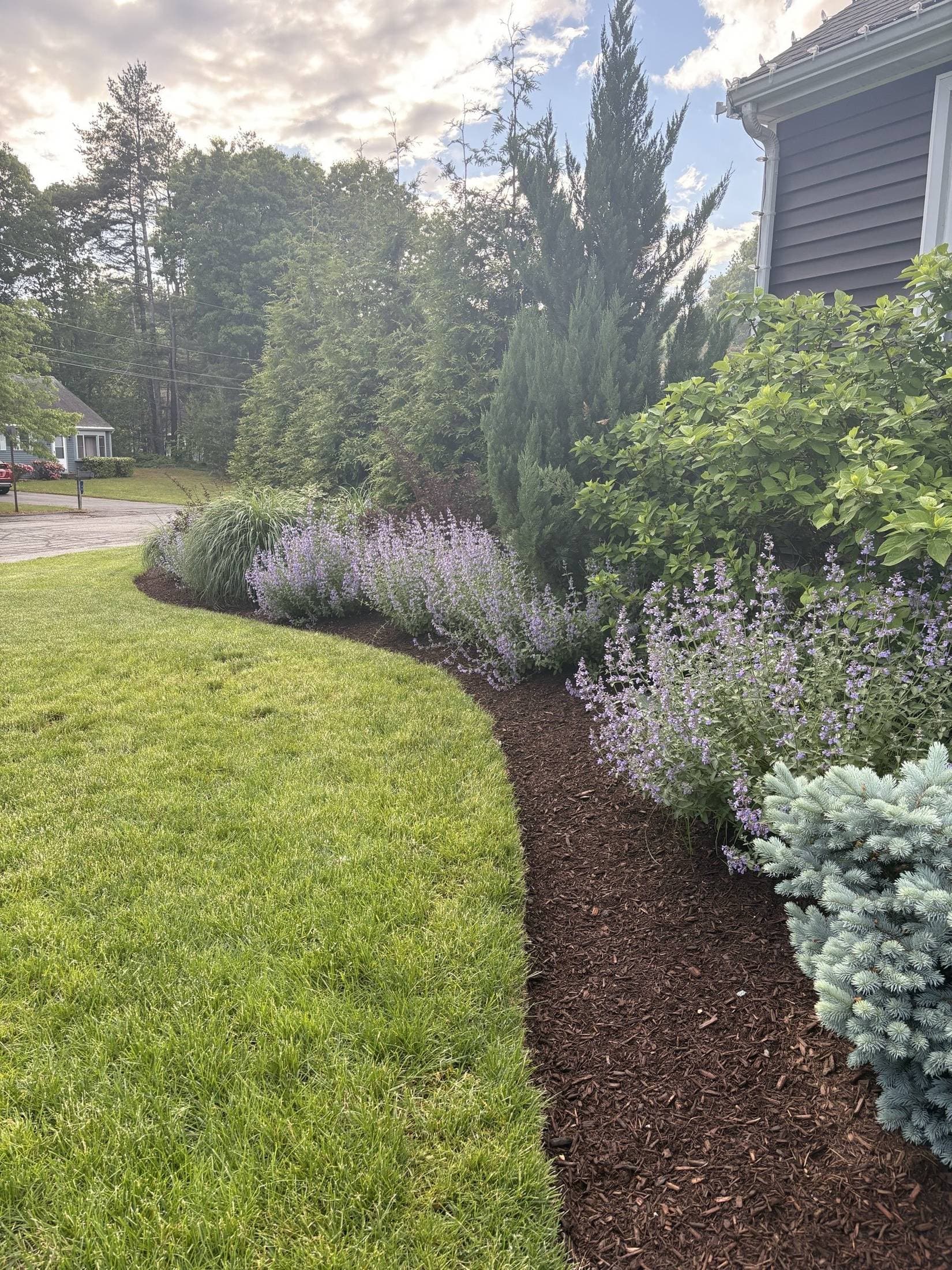 Planting & Horticulture: Native and climate-appropriate plant programs built for the New England year.